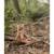 Peluche renard forest friends 30 cm Marron 6 - vertbaudet enfant 