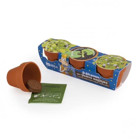 Trio de plantes magiques Vert 3 - vertbaudet enfant 