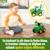 Johnny tracteur key & go -  interactif dès 18 mois Vert 3 - vertbaudet enfant 