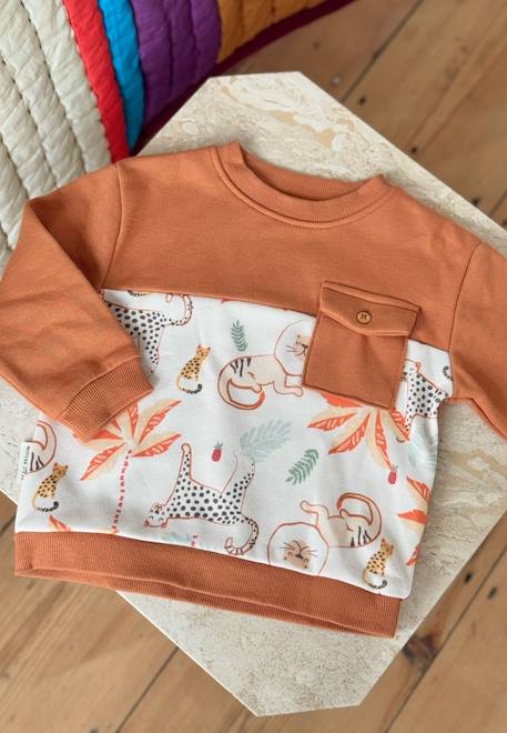 Sweat-shirt enfant tango Marron 1 - vertbaudet enfant 