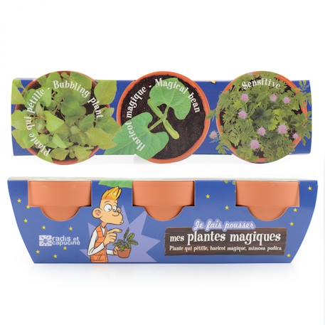 Trio de plantes magiques Vert 4 - vertbaudet enfant 