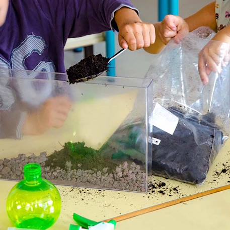 Vivarium observation racines et vers de terre Marron 6 - vertbaudet enfant 