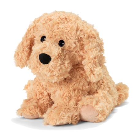 Peluche bouillotte chien bouclé Beige 1 - vertbaudet enfant 