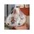 Bavoirs imprimés (2pcs) en eva transparent Marron+Multicolore+Transparent 2 - vertbaudet enfant 