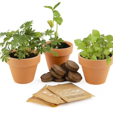 Trio de plantes magiques Vert 1 - vertbaudet enfant 