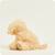 Peluche bouillotte chien bouclé Beige 3 - vertbaudet enfant 