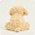 Peluche bouillotte chien bouclé Beige 4 - vertbaudet enfant 