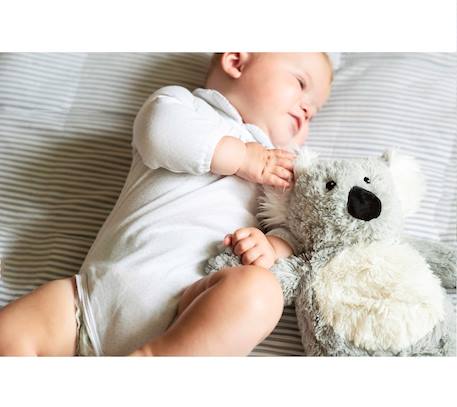 Peluche bouillotte koala Gris 2 - vertbaudet enfant 