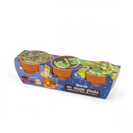 Trio de plantes magiques Vert 2 - vertbaudet enfant 