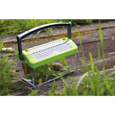Boîte à insectes Vert 3 - vertbaudet enfant 