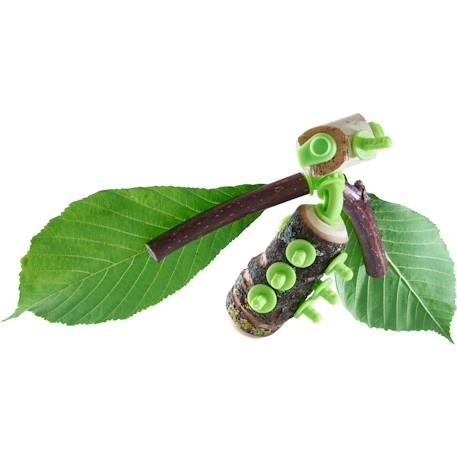 Terra kids connectors - kit animaux Vert 4 - vertbaudet enfant 