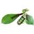 Terra kids connectors - kit animaux Vert 4 - vertbaudet enfant 