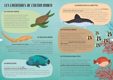 Voyage, découvre, explore - la mer Bleu 3 - vertbaudet enfant 