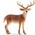 Figurine cerf de virginie Marron 1 - vertbaudet enfant 