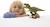 Figurine tyrannosaure rex Vert 2 - vertbaudet enfant 