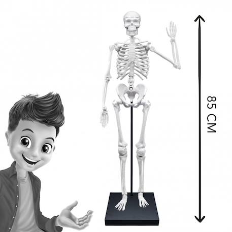 Squelette géant 85 cm Blanc 5 - vertbaudet enfant 