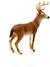 Figurine cerf de virginie Marron 2 - vertbaudet enfant 