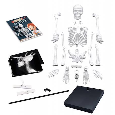 Squelette géant 85 cm Blanc 2 - vertbaudet enfant 
