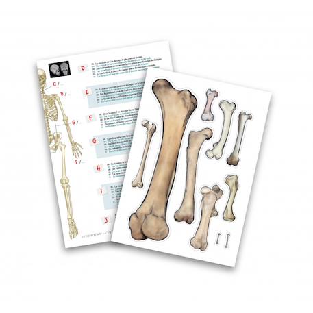 Squelette géant 85 cm Blanc 4 - vertbaudet enfant 
