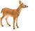 Figurine biche de virginie Marron 4 - vertbaudet enfant 