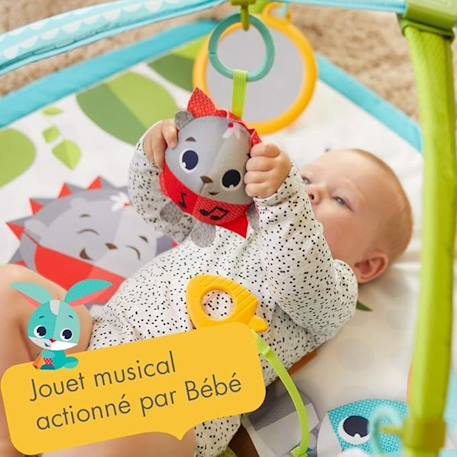 Tapis d'éveil bébé avec arches, musical, dans la prairie Sunnyday 2 - vertbaudet enfant 