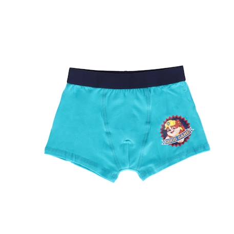 Lot de 5 boxers pat patrouille coton élasthanne Bleu 2 - vertbaudet enfant 