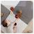Tapis de jeu bébé terrazzo Lapins+Modèle black and white 3 - vertbaudet enfant 