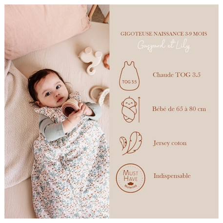 Gigoteuse naissance hiver Modèle gaspard et lily 3 - vertbaudet enfant 