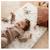 Matelas bébé nomade roulé Imprimé balloons+Imprimé over the sea 5 - vertbaudet enfant 