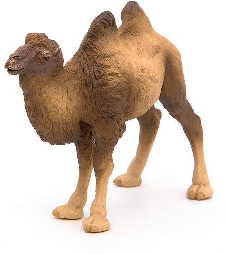 Figurine chameau de bactriane Marron 4 - vertbaudet enfant 