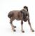 Figurine gnou Marron 4 - vertbaudet enfant 