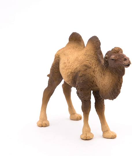 Figurine chameau de bactriane Marron 2 - vertbaudet enfant 