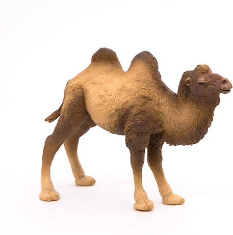 Figurine chameau de bactriane Marron 1 - vertbaudet enfant 