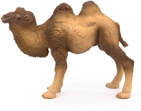 Figurine chameau de bactriane Marron 5 - vertbaudet enfant 