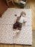 Tapis de motricité Leopard beige imprimé 1 - vertbaudet enfant 