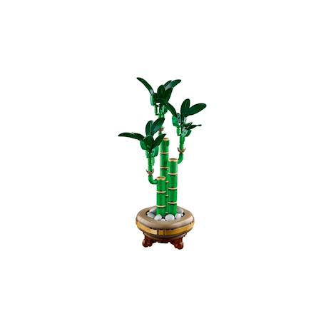 Lego botanicals - lego icons - le bambou de la chance - 10344 Multicolore 5 - vertbaudet enfant 