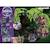 Ayuma arbre de la sagesse 70801 Multicolore 4 - vertbaudet enfant 