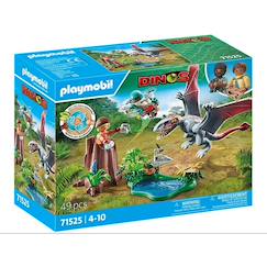 Jouet-Jeux d'imagination-Dinos drone d'observation avec dimorphodon 71525