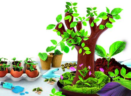 Botanique 50 expériences (arbre en bio-plastique) Multicolore 3 - vertbaudet enfant 