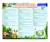 Lecteur cd portable avec 2 microphones animaux MULTICOLORE 6 - vertbaudet enfant 