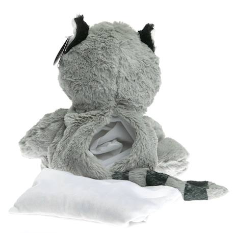 Bouillotte déhoussable raton laveur Gris 2 - vertbaudet enfant 