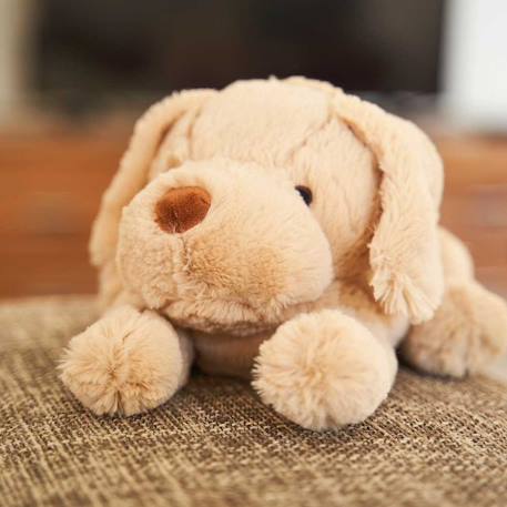 Peluche bouillotte chien Beige 5 - vertbaudet enfant 