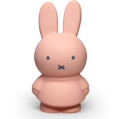 Linge de maison et décoration-Décoration-Tirelire miffy