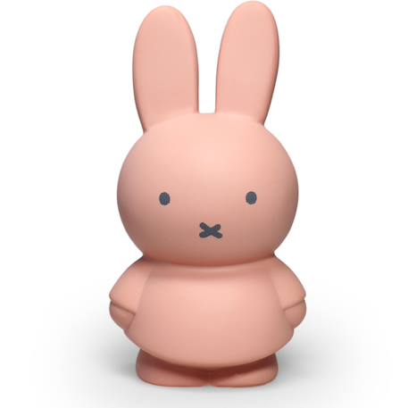 Tirelire miffy Beige+Marron+Rose+Vert, noir 12 - vertbaudet enfant 