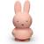 Tirelire miffy Beige+Marron+Rose+Vert, noir 12 - vertbaudet enfant 
