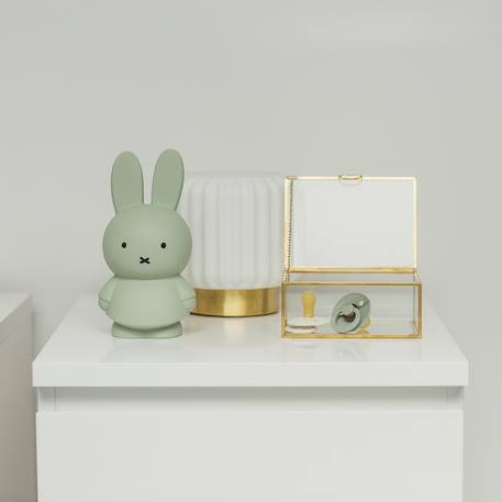 Tirelire miffy Beige+Marron+Rose+Vert, noir 21 - vertbaudet enfant 