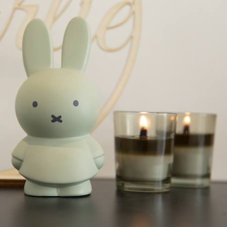 Tirelire miffy Beige+Marron+Rose+Vert, noir 20 - vertbaudet enfant 
