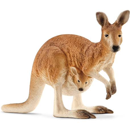 Wild life kangourou Marron 1 - vertbaudet enfant 