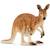 Wild life kangourou Marron 1 - vertbaudet enfant 