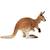 Wild life kangourou Marron 5 - vertbaudet enfant 